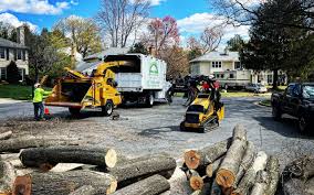 Trusted Hesston, KS  Tree Services Experts